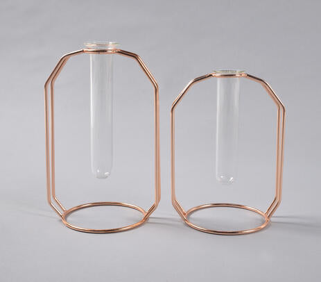 Rose-Gold Metal & Glass Test Tube Planter Vases (set of 2) IB-1