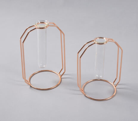 Rose-Gold Metal & Glass Test Tube Planter Vases (set of 2) IB-2