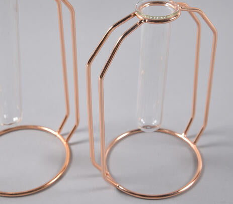 Rose-Gold Metal & Glass Test Tube Planter Vases (set of 2) IB-3