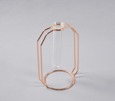 Rose-Gold Metal & Glass Test Tube Planter Vases (set of 2) IB-4