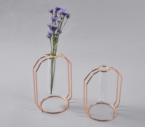 Rose-Gold Metal & Glass Test Tube Planter Vases (set of 2) IB-0