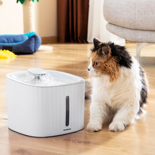 Pet drinking fountain, providing a better alternative for dogs, cats, and other pets.