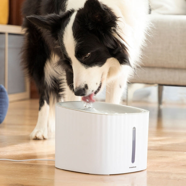 Pet drinking fountain, providing a better alternative for dogs, cats, and other pets.
